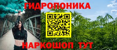 амф Гусь-Хрустальный